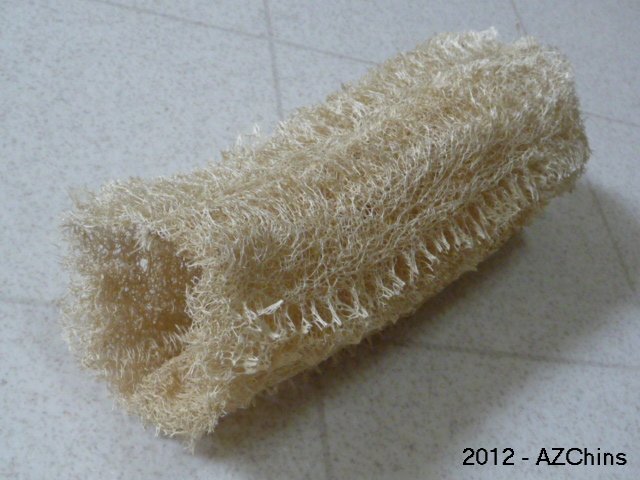 Loofah Tunnel