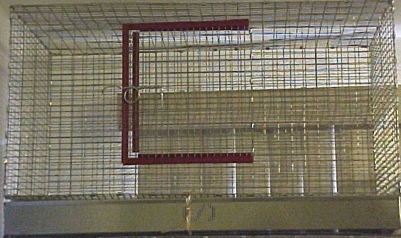 Smallledge.jpg (65501 bytes)