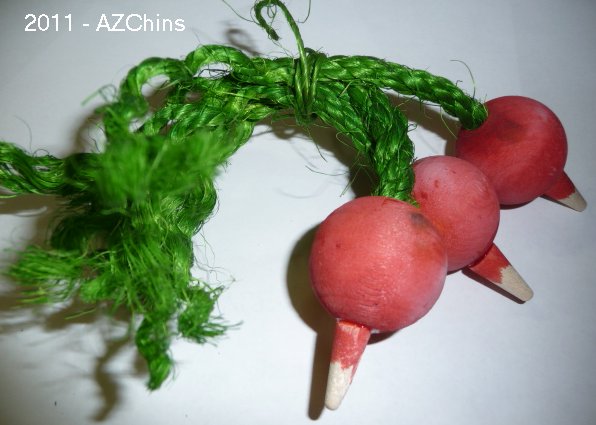 radish.jpg (46040 bytes)